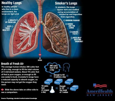 smokers lungs vs. healthy lungs infographic | ACOM 2305 Resource Board | Pinterest | Smokers ...