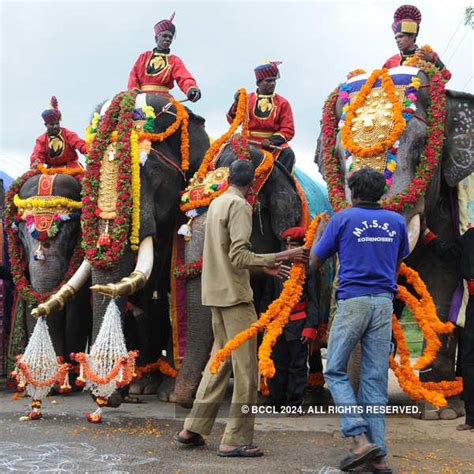 Dasara elephants arrive in Mysore - Photogallery