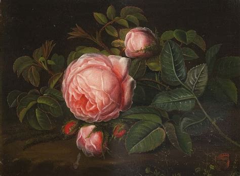 free download | Pink Rose, leaves, painting, blossoms, petals, artwork, HD wallpaper | Peakpx