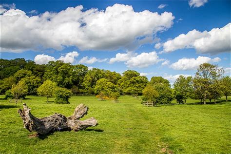 Beverley Westwood walk - Beverley walks - East Yorkshire walks