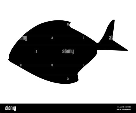 Pomfret fish silhouette vector art Stock Vector Image & Art - Alamy