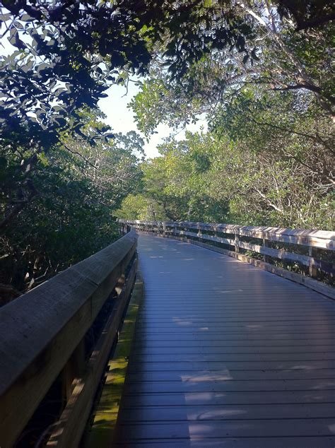 Clam pass Boardwalk, Naples, Fl | The places you will go, Oh the place you will go, Oh the places