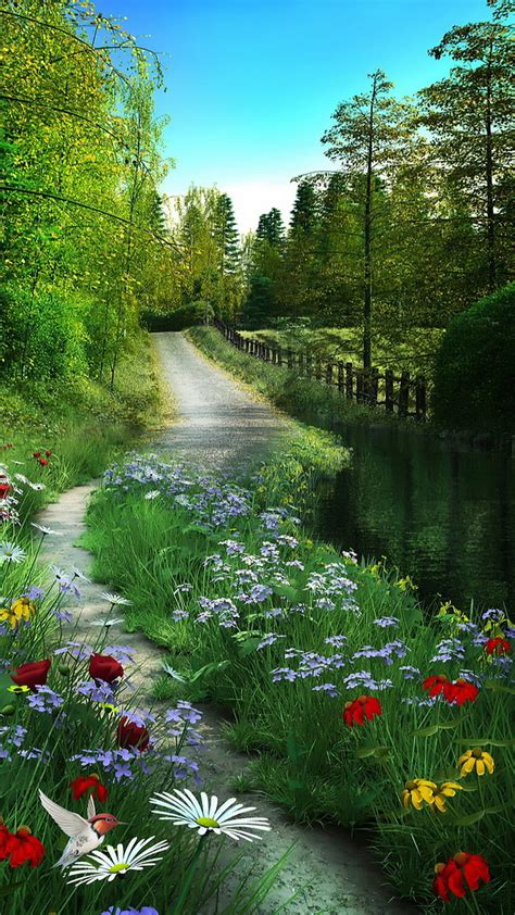 1080P free download | Nature, bird, flowers, grass, leaves, river, road ...