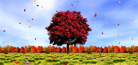 Download Delightful Ideas Fall Live Wallpaper Top 11 Autumn - Autumn Tree Wallpaper Hd On Itl.cat