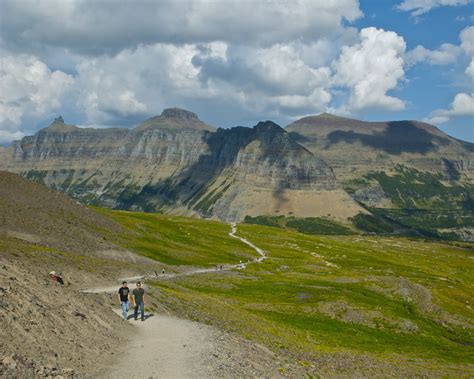 The trail back to Logan Pass.