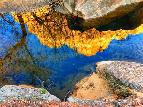 Fall foliage report in Zion National Park 2013 - Matt Suess Photography