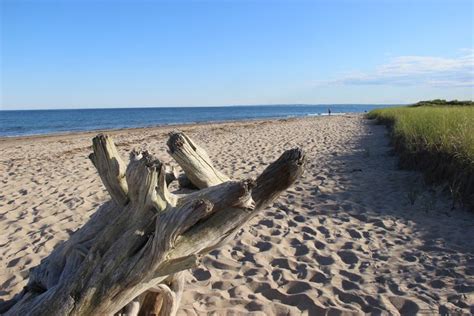 The Best Beaches in Maine