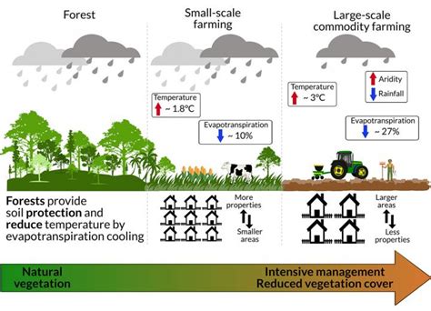 Commodity Farming Accelerating Climate Change in the Amazon Rainforest | Lab Manager