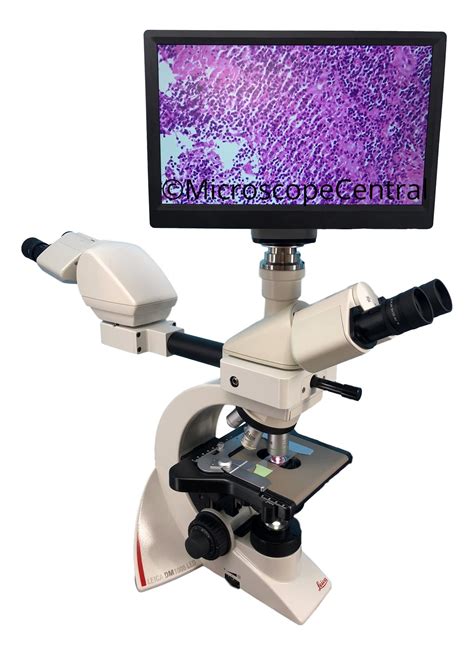 Leica DM1000 Dual Viewing | Digital Pathology Microscope | Microscope Central