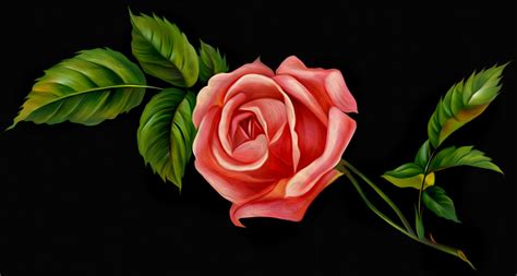 A Single Rose(Digital Painting) by chamirra on DeviantArt