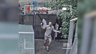 Melbourne Zoo keeper caught dancing on live stream - CBBC Newsround