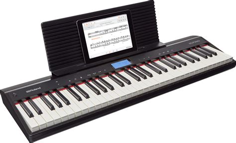 お買い得♪【GO61純正専用ケース付き】Roland GO-61P - natureplay.com.hk