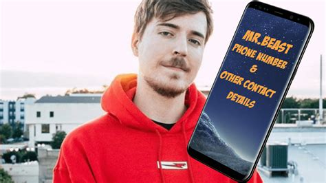 What Is The Mrbeast Number - BEST GAMES WALKTHROUGH