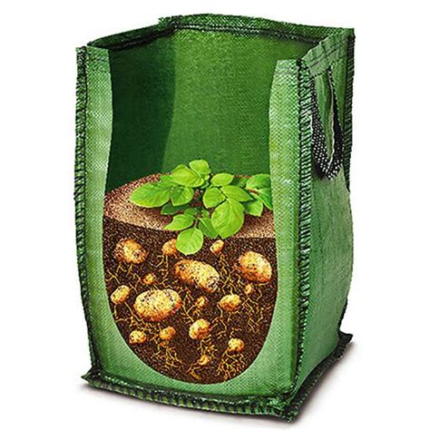 Potato Tubers x3 Varieties & Grow Bag x3 | Gardening Direct