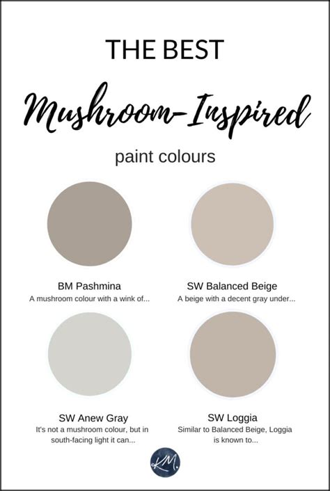 The 5 Best Mushroom-Inspired Paint Colours: Benjamin and Sherwin - Kylie M Interiors