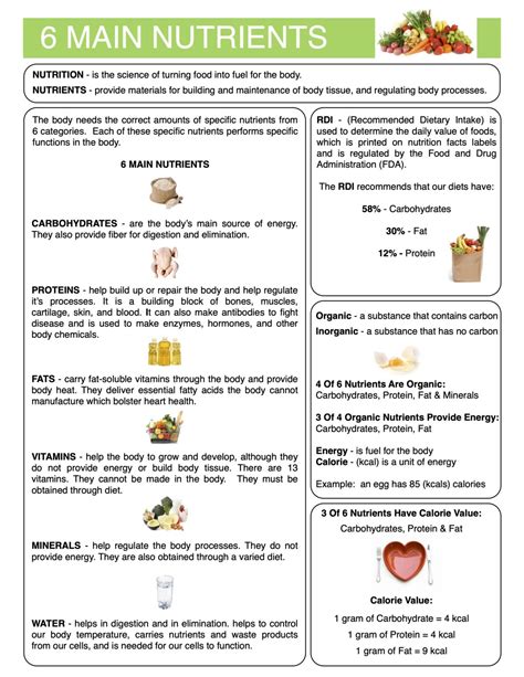 6 Main Nutrients Content Sheet, Worksheet and Answer Key | Made By Teachers