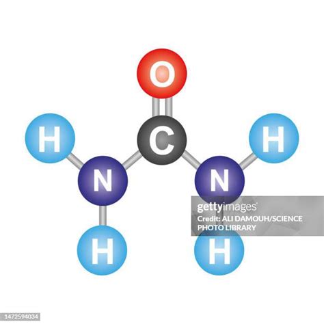 Chemical Structure Of Urea Photos and Premium High Res Pictures - Getty ...