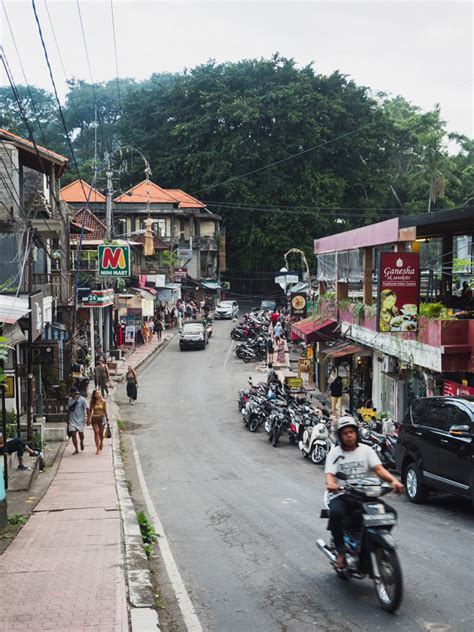 Ubud Monkey Forest Bali: Things To Know Before You Go | Almost Landing ...