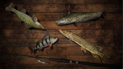 12 Best Fishing PC Games For When You're Stuck Inside - Gameranx