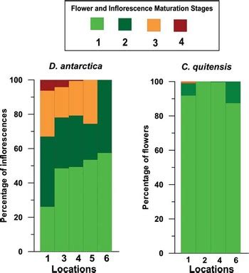 Distribution and reproductive capacity of Deschampsia antarctica and ...