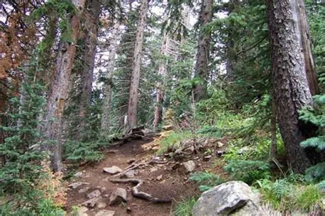 Humphrey's Peak Hiking Trail, Description, Map