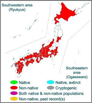 Desmodium paniculatum / Invasive Species of Japan