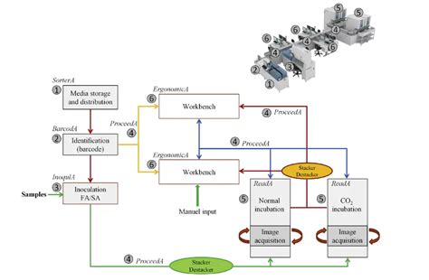 Total Laboratory Automation (TLA) in Clinical Microbiology – Microbe Online