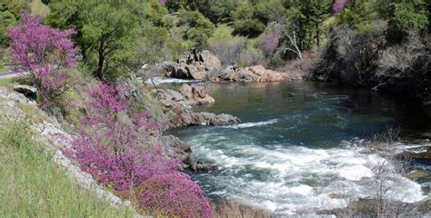 Lower Merced River Fishing