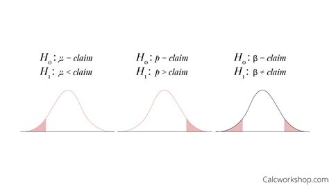 Hypothesis Examples