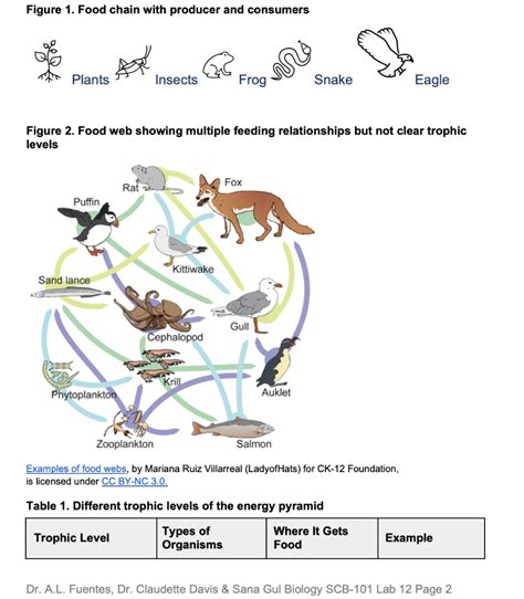 Solved Figure 1. Food chain with producer and consumers | Chegg.com