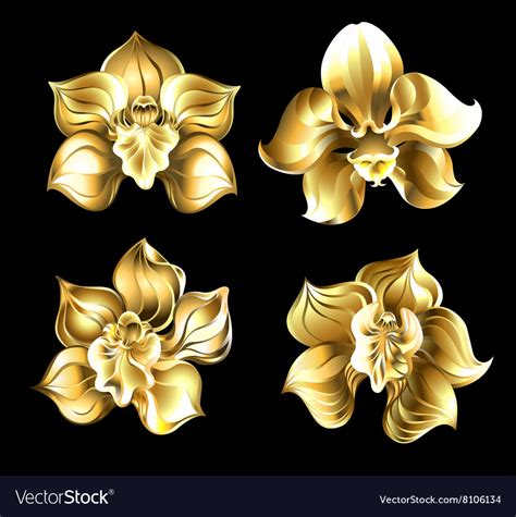 Set of gold orchids Royalty Free Vector Image - VectorStock