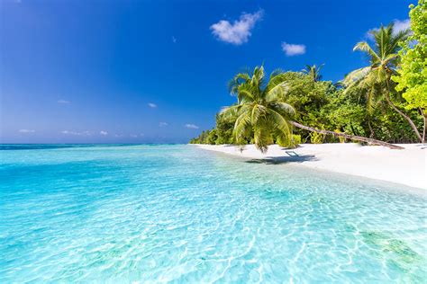 Beautiful perfect tropical beach scenery backgrounds blue sea la - Häät ...