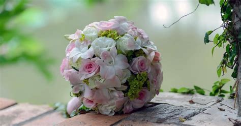 Image de Fleur: Offrir Un Bouquet De Fleurs Blanches