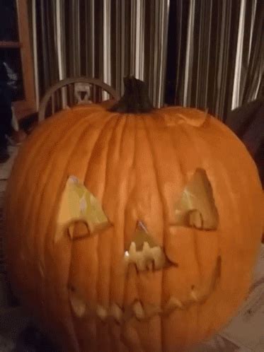 Pumpkin 2016 GIF - Pumpkin 2016 Halloween - Discover & Share GIFs