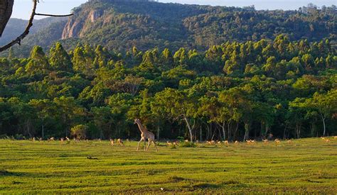 Leopard Rock – Eastern Highlands – Zimbabwe Connections