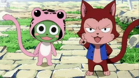 Sabertooth's Exceed: Frosch and Lector | Anime fairy tail, Anime fairy ...