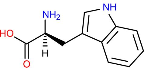 Tryptophan Structure - Science Notes and Projects