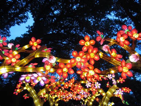 Lantern Festival at Missouri Botanical Garden