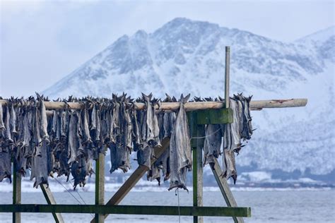 Fishing in NORWAY: The Complete Guide