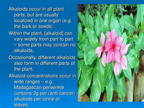 PPT - ALKALOIDS PowerPoint Presentation - ID:149540