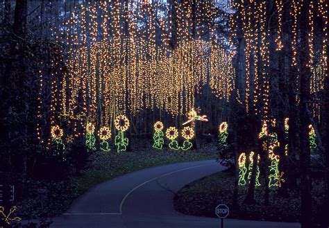 Fantasy In Lights at Callaway Gardens | Enchanted Rainbow Fo… | Flickr