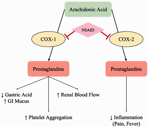 Nsaid Mechanism Of Action