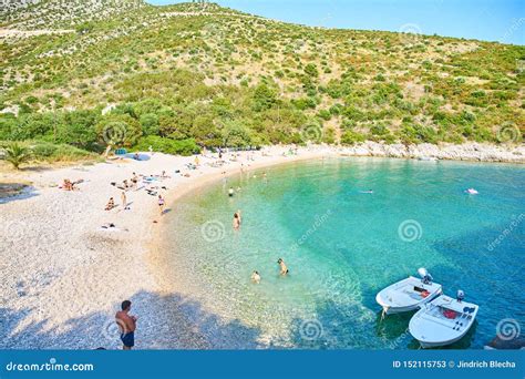 Beaches of Hvar, Croatia editorial stock photo. Image of pines - 152115753