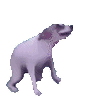 GIF Of Dancing Dog - Search