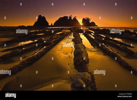 Shi Shi Beach, Point Of Arches, Neah Bay, Olympic Peninsula, Olympic ...