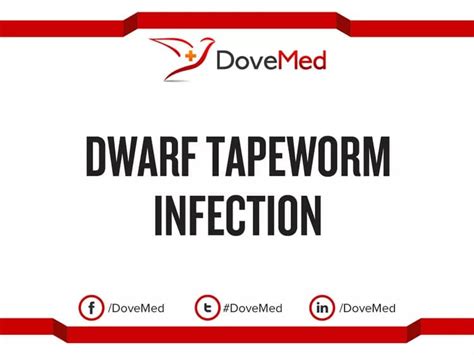 Dwarf Tapeworm Infection - DoveMed