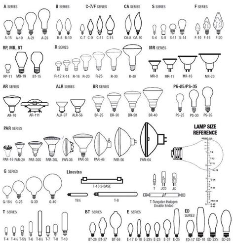 Bulb Shapes and Sizes — The Lighting Factory Inc