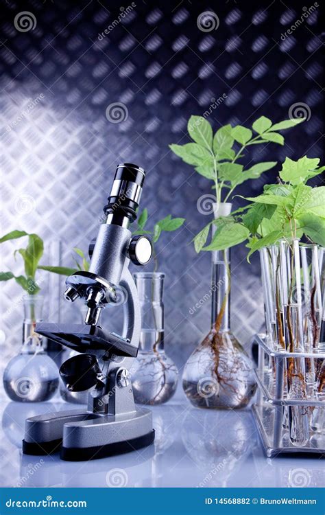 Plants in laboratory stock photo. Image of biology, chemical - 14568882