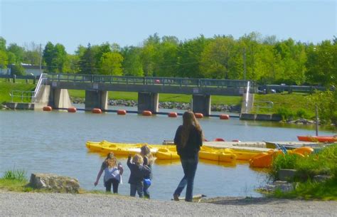 Review: Byng Island Conservation Area, Dunnville