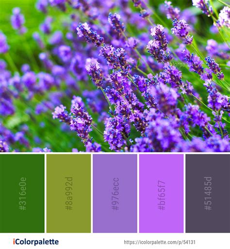 Lavender Color Palette, Color Schemes Colour Palettes, Colour Pallete ...